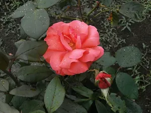Nachher